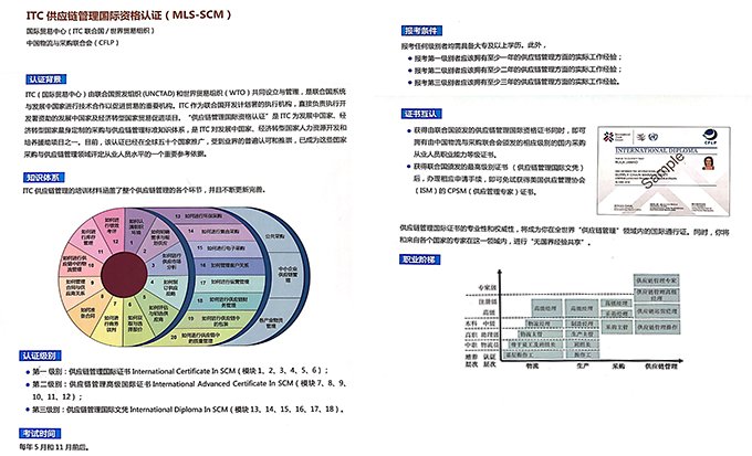 经济师职称(中级)精品全程班 经济师